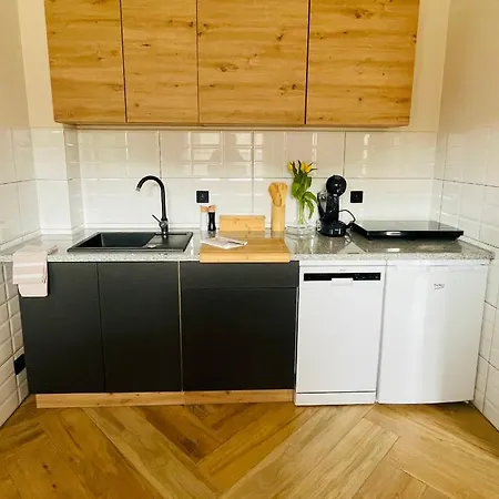 Gorska Cisza - Duzy, Komfortowy, Wyjatkowy Apartament Строне-Шльонське Екстер'єр фото