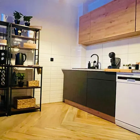 Gorska Cisza - Duzy, Komfortowy, Wyjatkowy Apartament Строне-Шльонське Екстер'єр фото