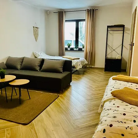 Gorska Cisza - Duzy, Komfortowy, Wyjatkowy Apartament Строне-Шльонське Екстер'єр фото