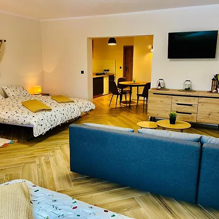 Gorska Cisza - Duzy, Komfortowy, Wyjatkowy Apartament Строне-Шльонське Екстер'єр фото