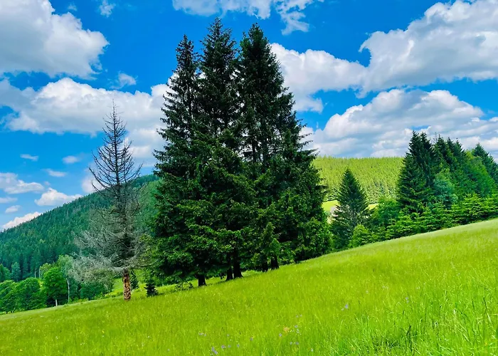 Gorska Cisza - Duzy, Komfortowy, Wyjatkowy Apartament