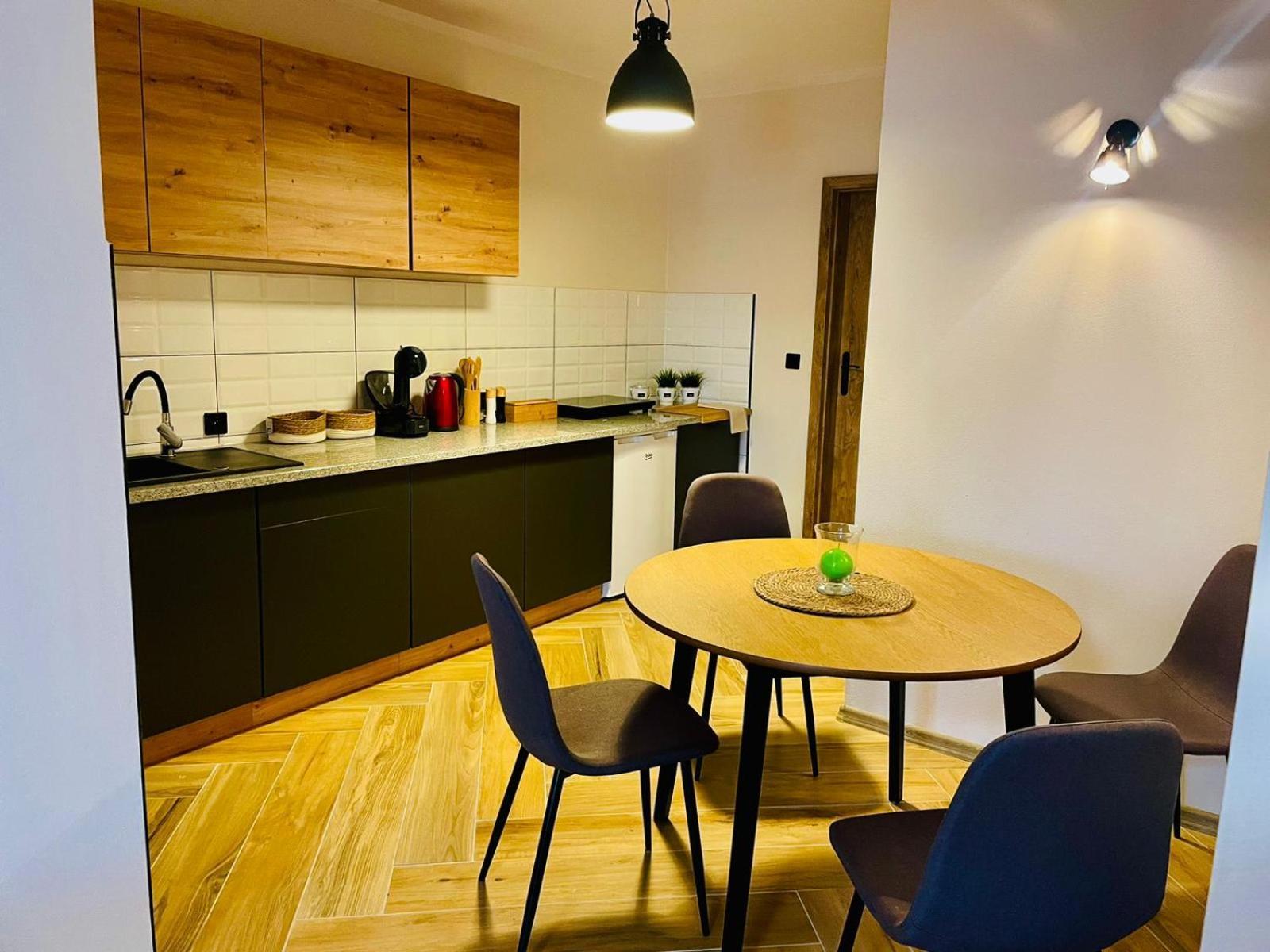Gorska Cisza - Duzy, Komfortowy, Wyjatkowy Apartment Stronie Śląskie