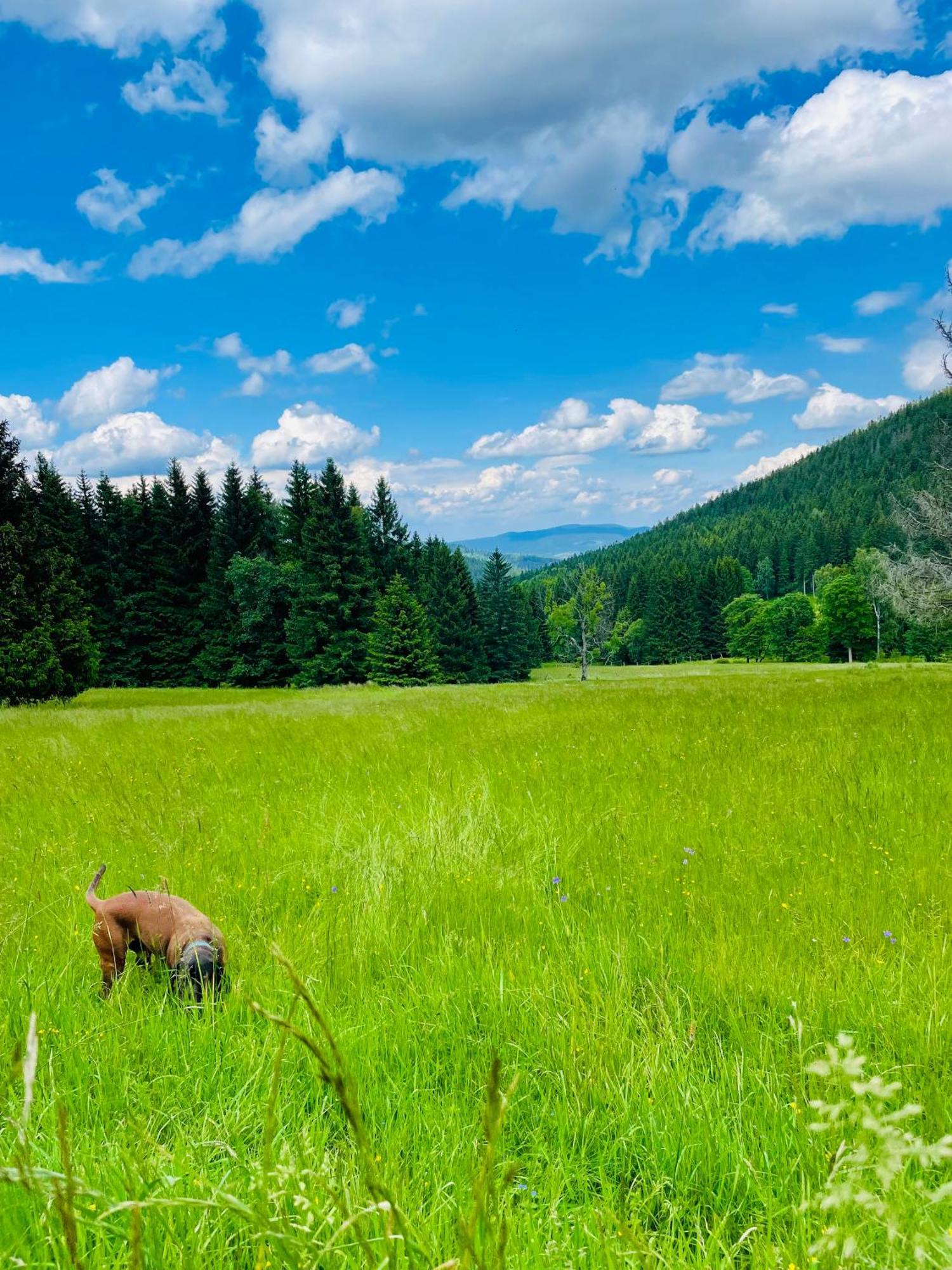 Gorska Cisza - Duzy, Komfortowy, Wyjatkowy *