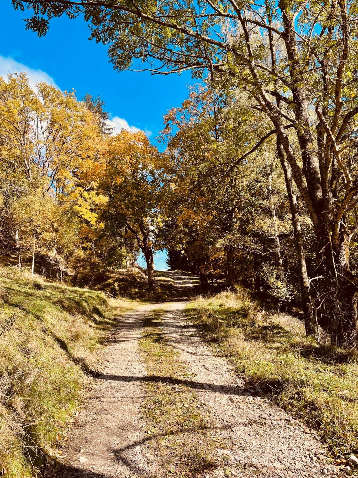 Gorska Cisza - Duzy, Komfortowy, Wyjatkowy * Stronie Śląskie